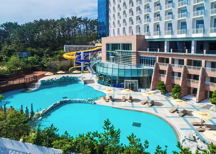 The Week & Resort